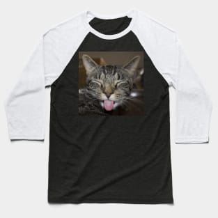 Senpai Cat Baseball T-Shirt